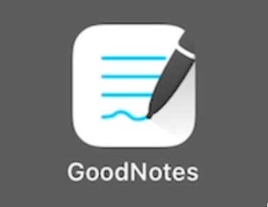 Einzelne Goodnotes-Notizbücher exportieren (als PDF- oder Goodnotes